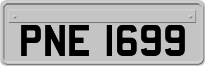 PNE1699