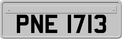 PNE1713