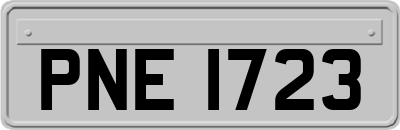 PNE1723