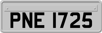 PNE1725