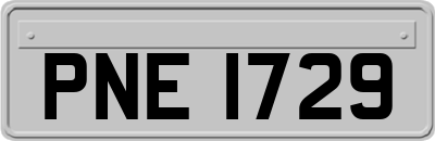 PNE1729
