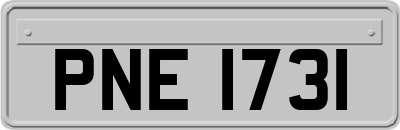PNE1731