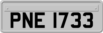 PNE1733