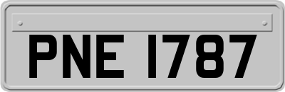PNE1787
