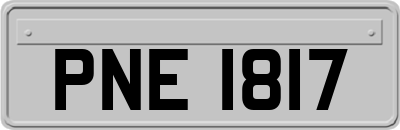 PNE1817