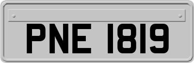 PNE1819