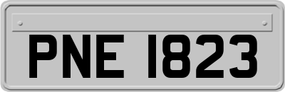 PNE1823
