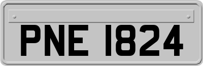 PNE1824