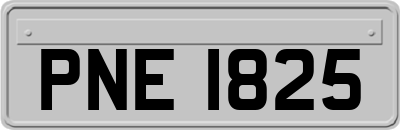 PNE1825