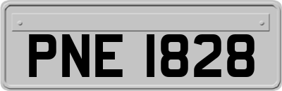 PNE1828