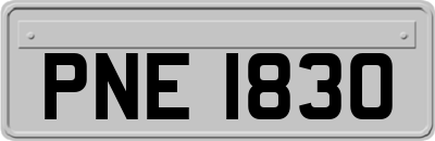 PNE1830