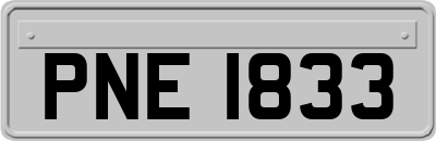 PNE1833