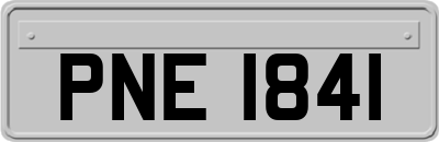 PNE1841