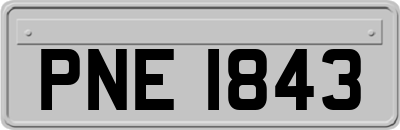 PNE1843