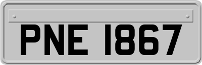 PNE1867