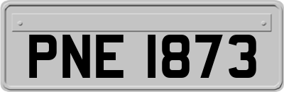 PNE1873