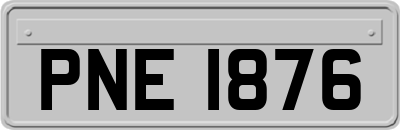 PNE1876