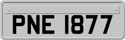 PNE1877