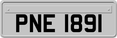 PNE1891