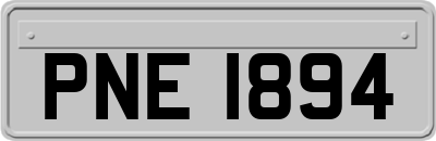 PNE1894