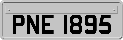 PNE1895