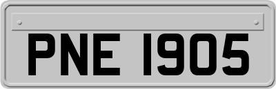 PNE1905
