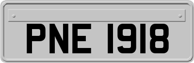 PNE1918