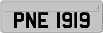 PNE1919