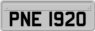 PNE1920