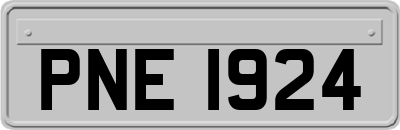 PNE1924