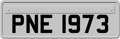 PNE1973