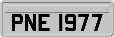 PNE1977