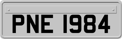 PNE1984