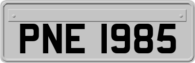 PNE1985