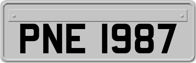 PNE1987