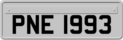 PNE1993