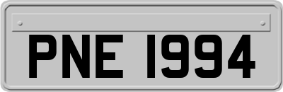 PNE1994