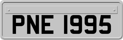 PNE1995