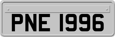 PNE1996