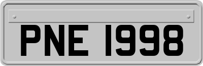 PNE1998