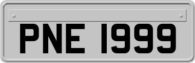 PNE1999