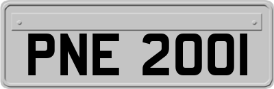 PNE2001
