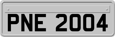 PNE2004