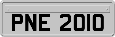 PNE2010