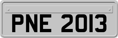 PNE2013