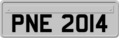PNE2014