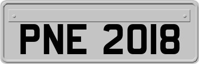 PNE2018