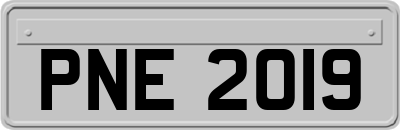 PNE2019