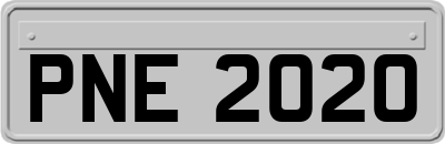 PNE2020