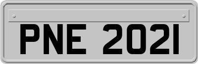 PNE2021
